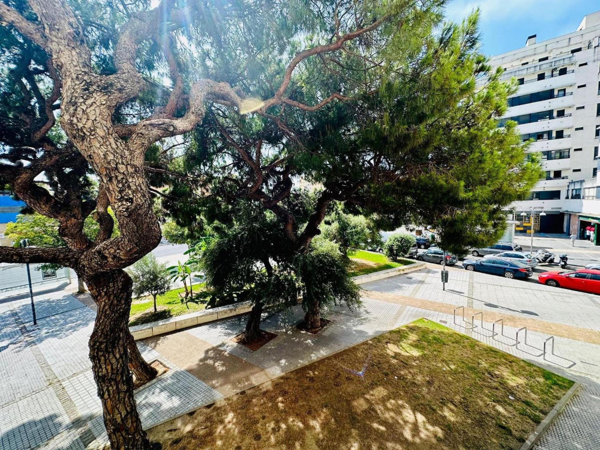 Avenida Portugal Con Ascensor Grupo Ac Gestion Apartment Cadiz